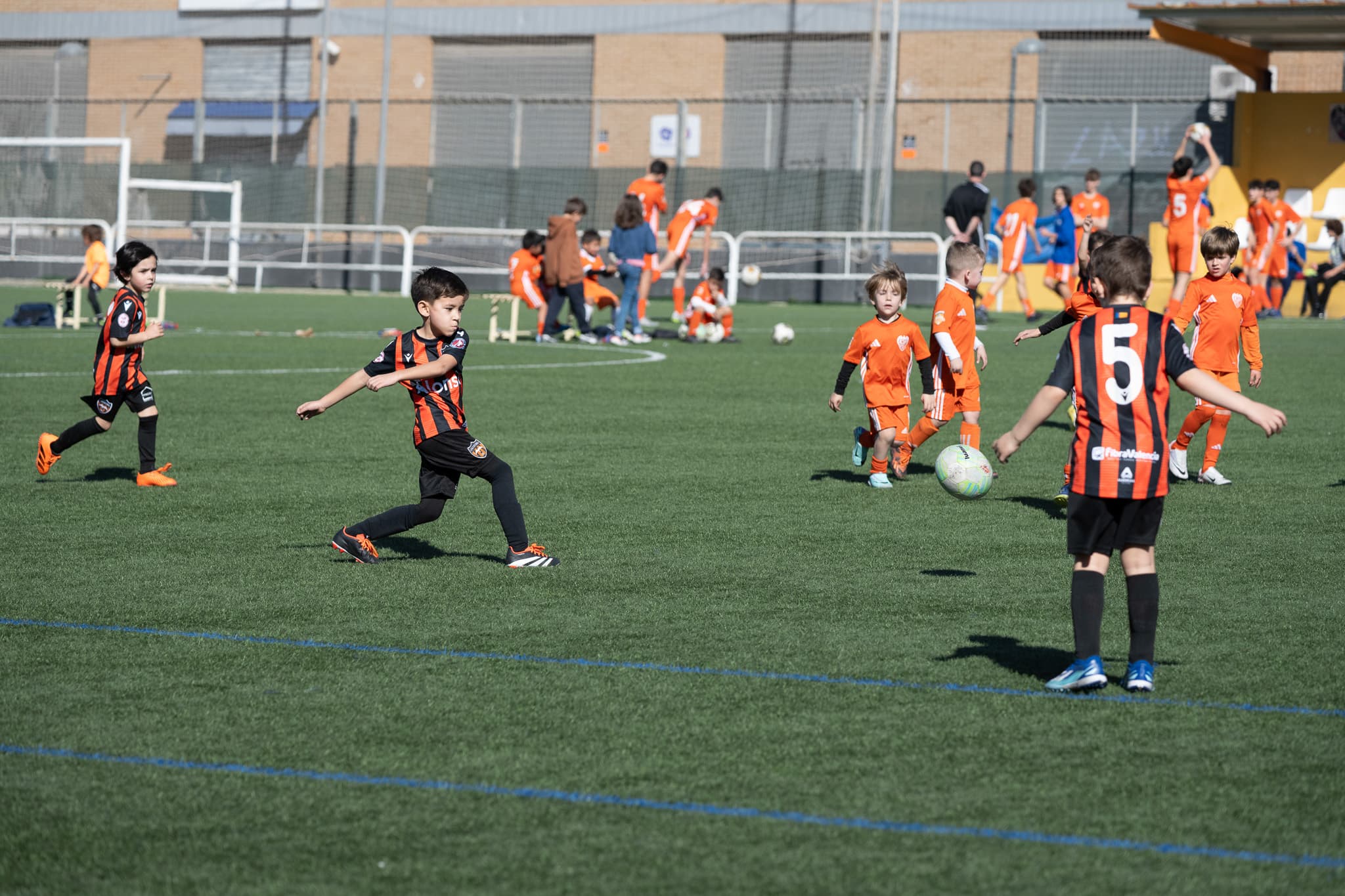 Torneo Patacona 2024 · 13