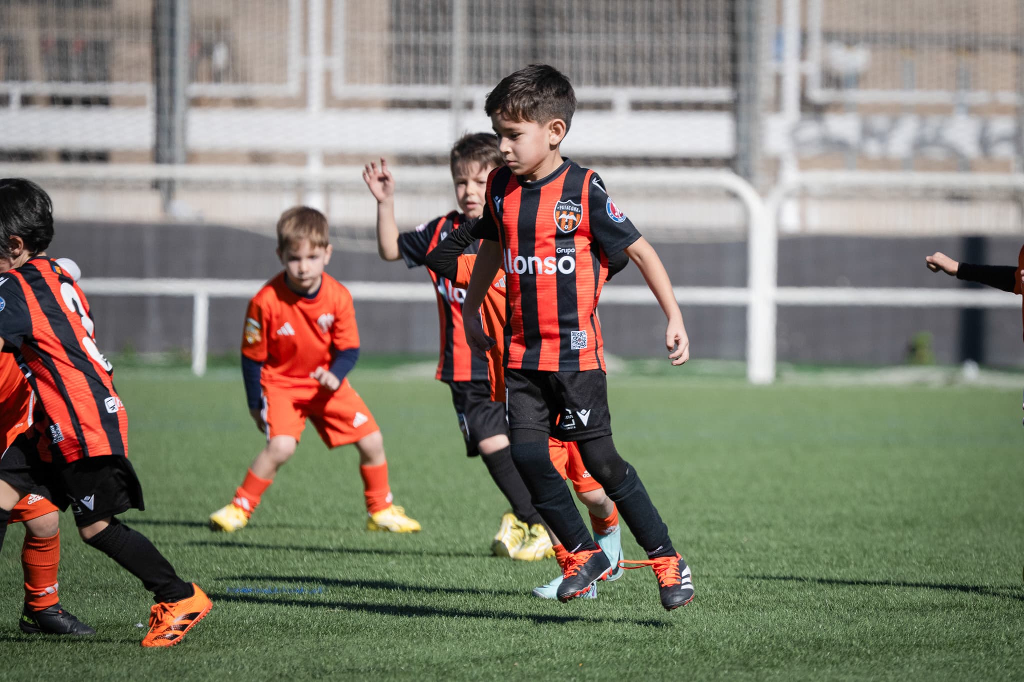 Torneo Patacona 2024 · 14