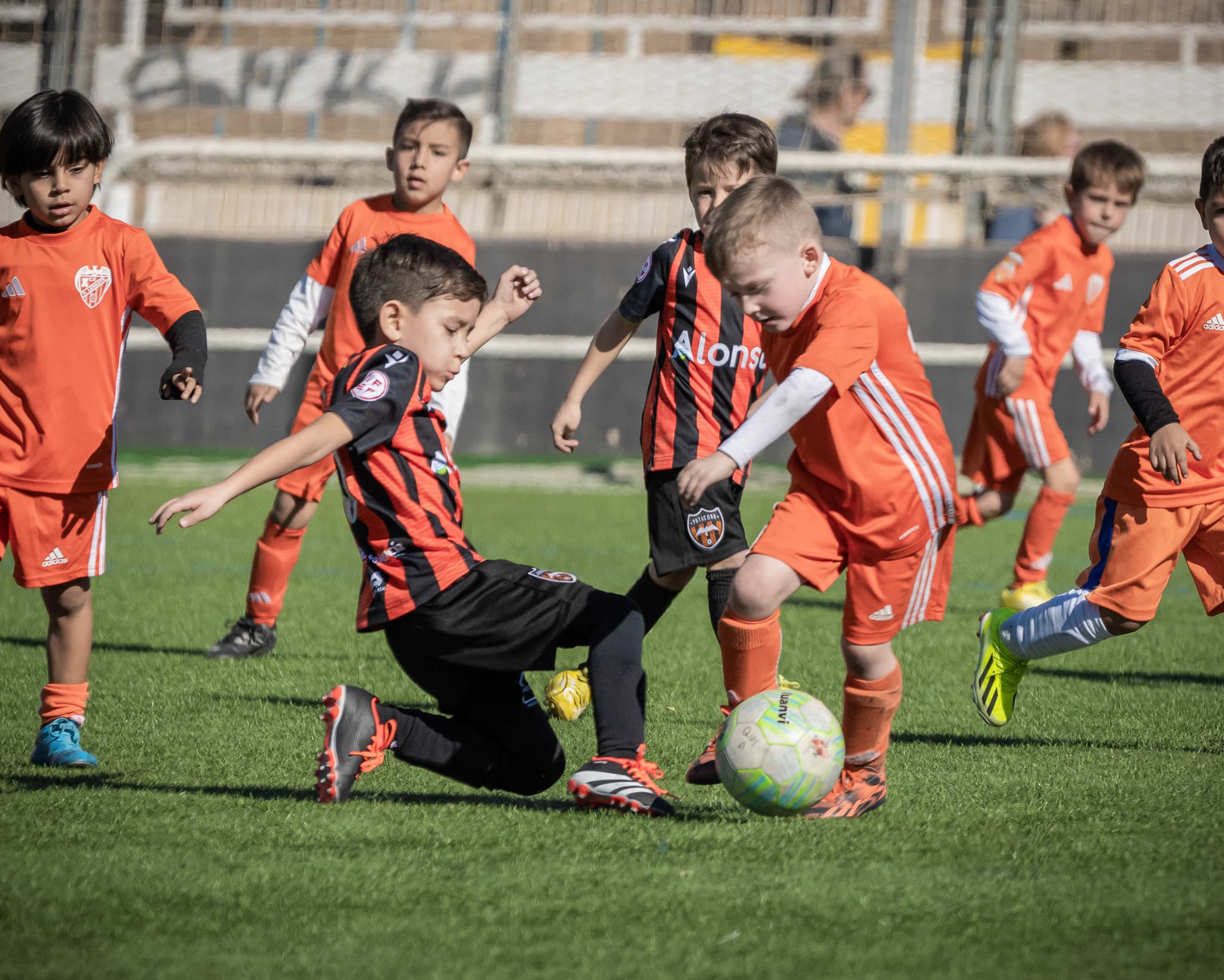 Torneo Patacona 2024 · 15