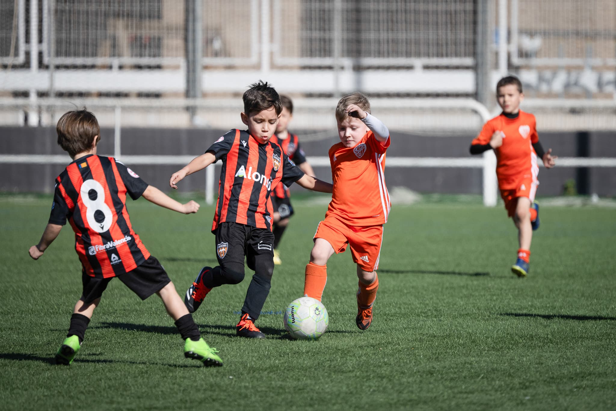 Torneo Patacona 2024 · 16