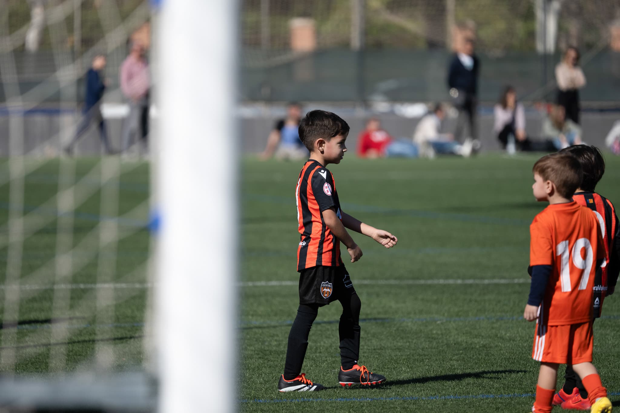 Torneo Patacona 2024 · 17