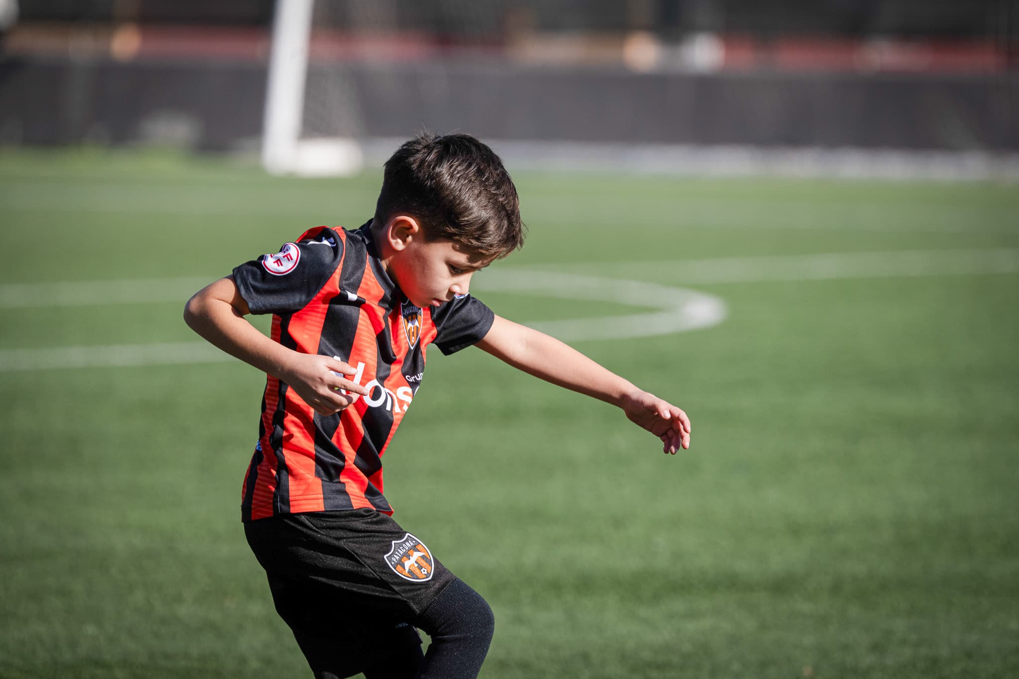 Torneo Patacona 2024 · 19