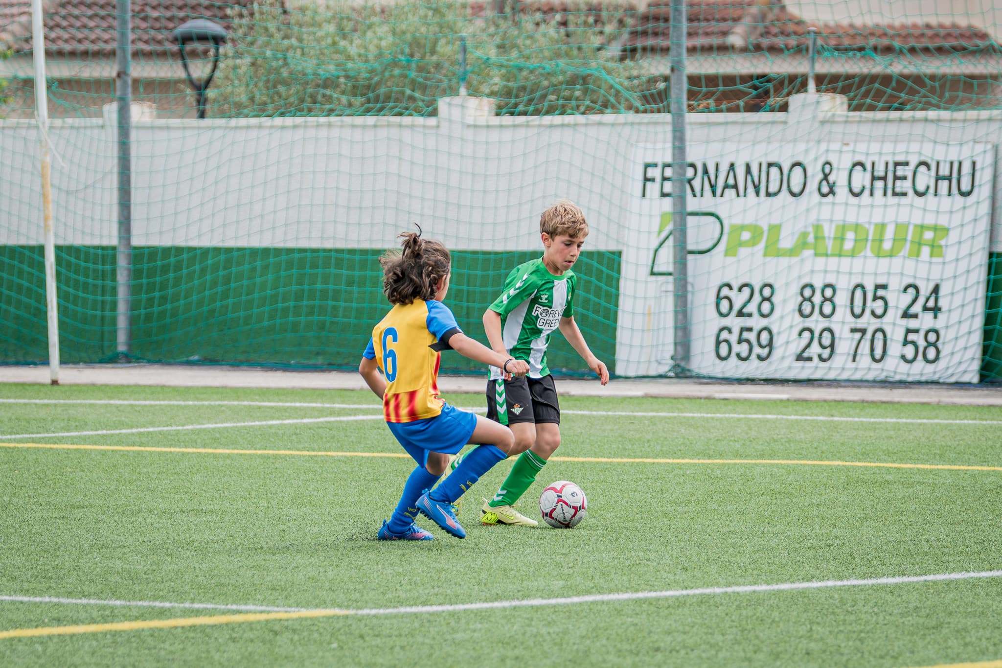San Isidro - El Alamo 2025 · 10